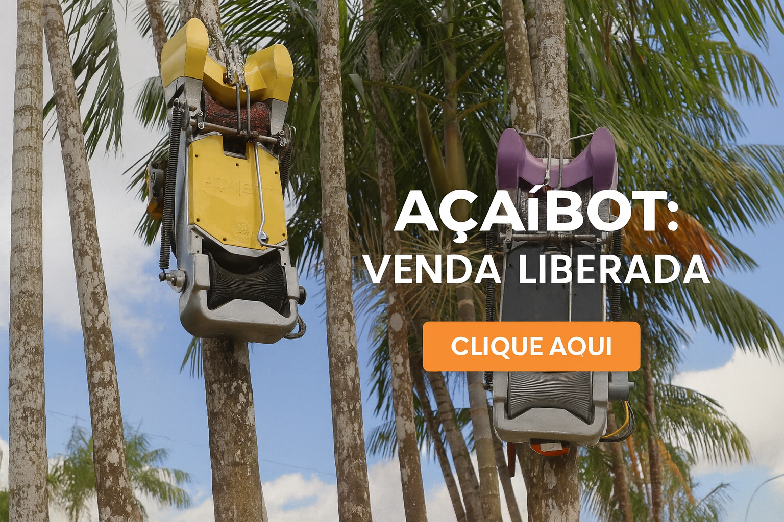 Açaibot da Kaatech em ação, subindo nos pés de açai